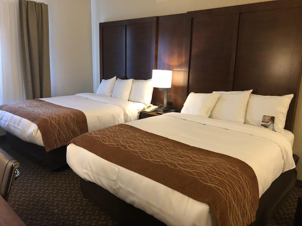 Comfort Inn & Suites Sw Houston Sugarland Bagian luar foto